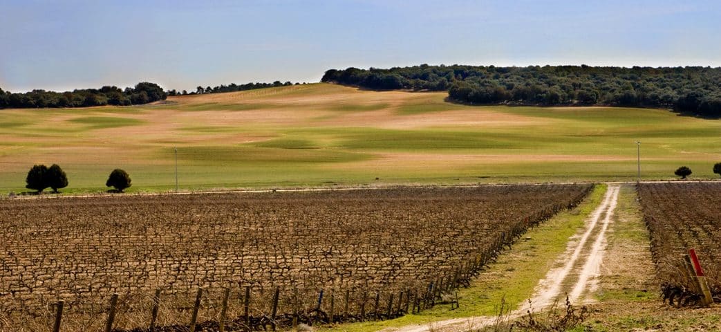 finca de la Ventosilla