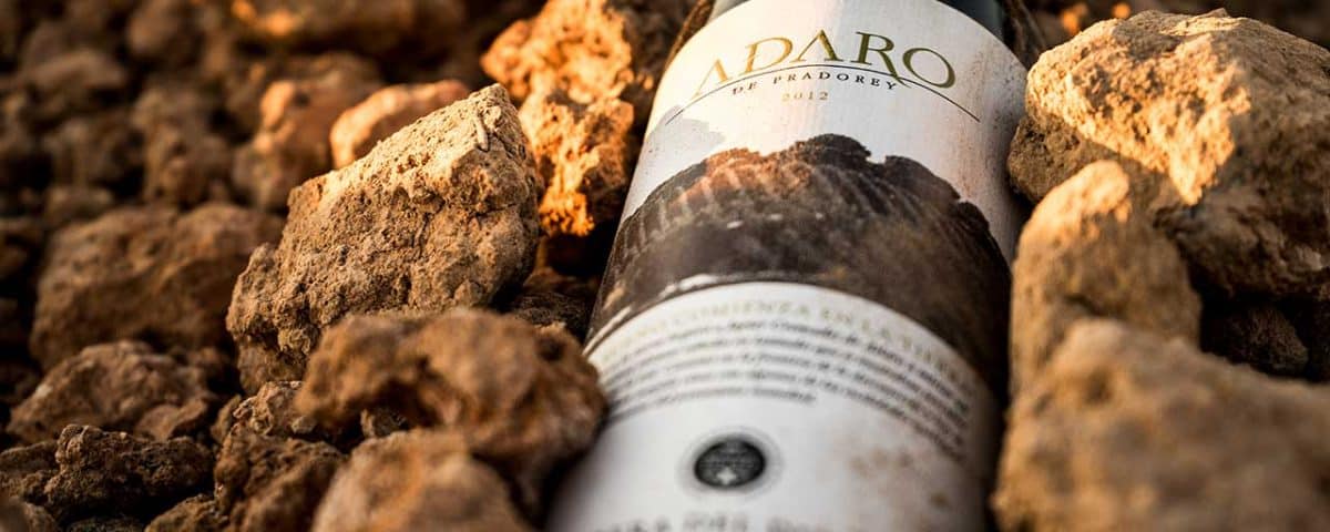 botella Adaro en el terruño