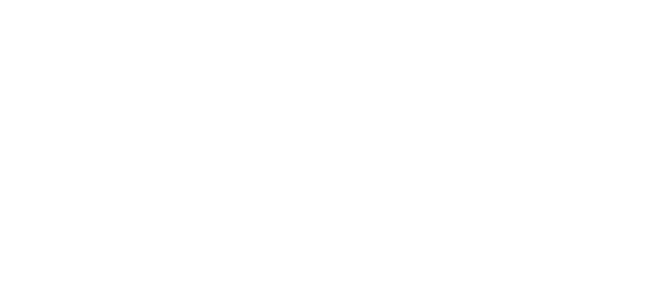 logo Pradorey