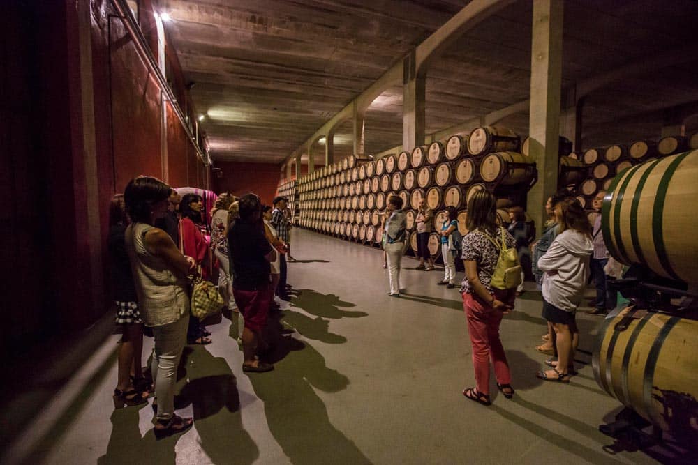 Visita Bodega