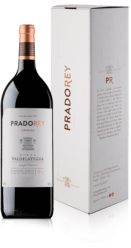 Valdelayegua magnum